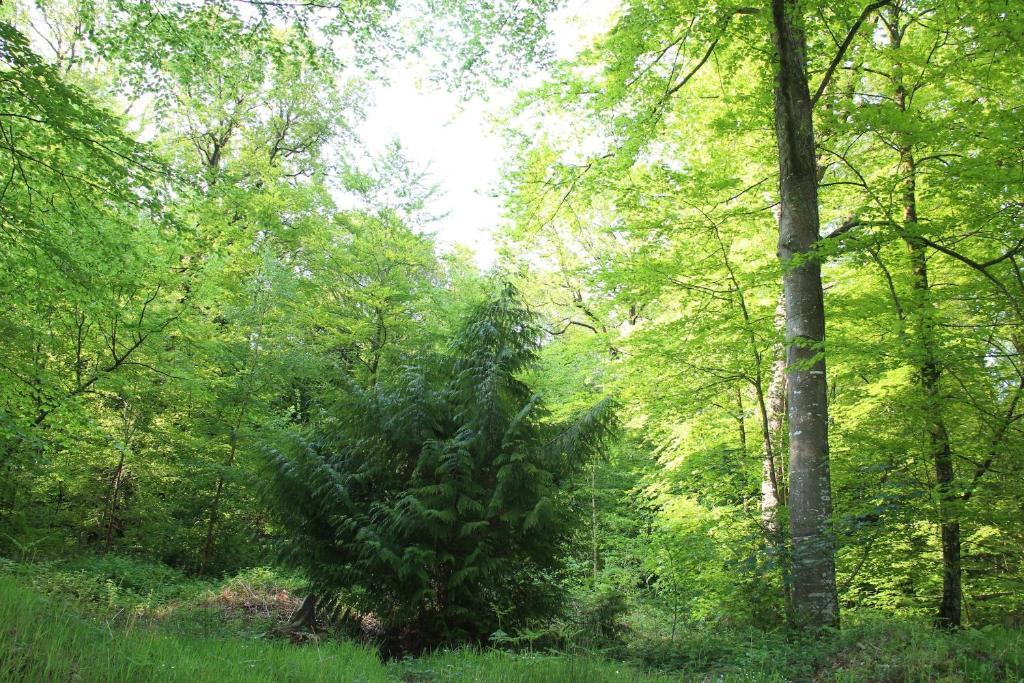 Albert Premier Hotel Bagnoles-de-l'Orne Luaran gambar